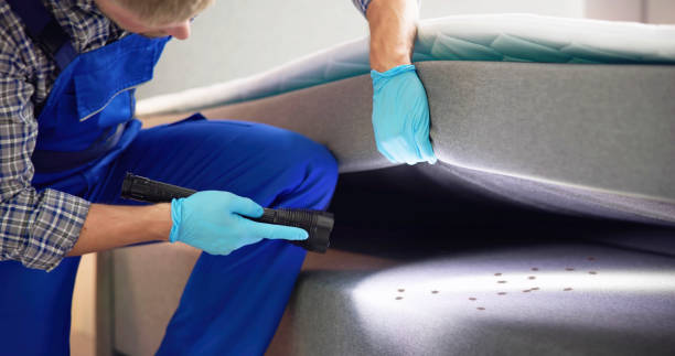 Best Affordable Pest Control Services  in Oroville, WA