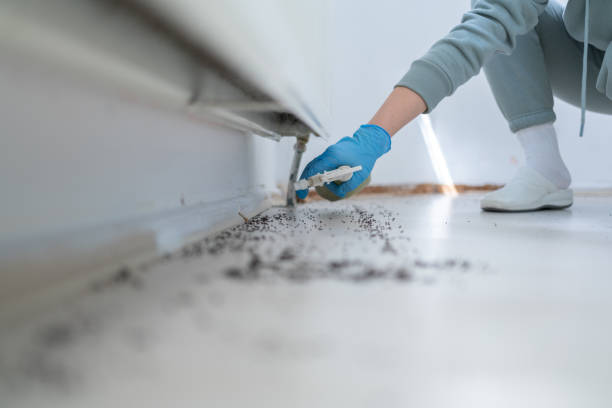 Best Spider Control Near Me  in Oroville, WA
